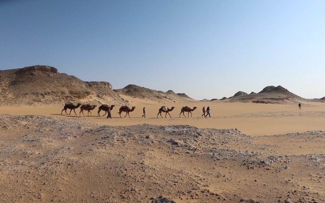 Bahariya Oasis Egypt