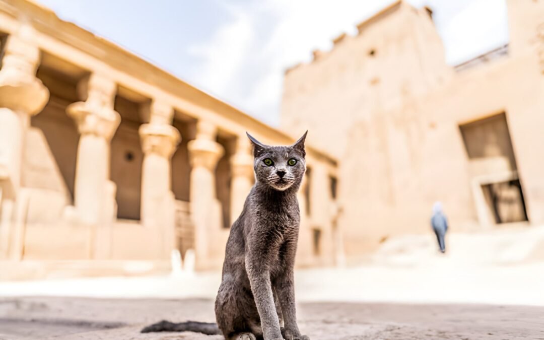 Top Reasons To Choose A Tailor-Made Egypt Trip Instead Of A Group Tour