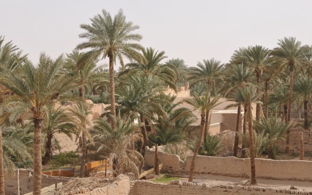 Ras Mohammed National Park