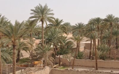Ras Mohammed National Park