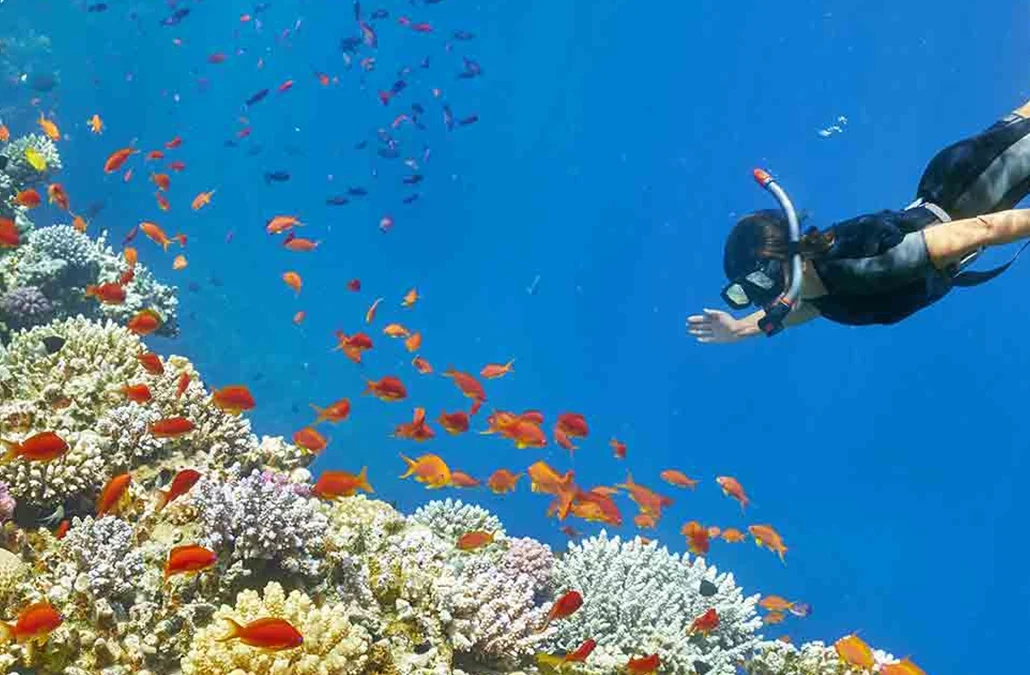 The Secrets Of Napoleon’s Egyptian Campaign