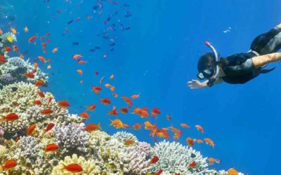 The Secrets Of Napoleon’s Egyptian Campaign