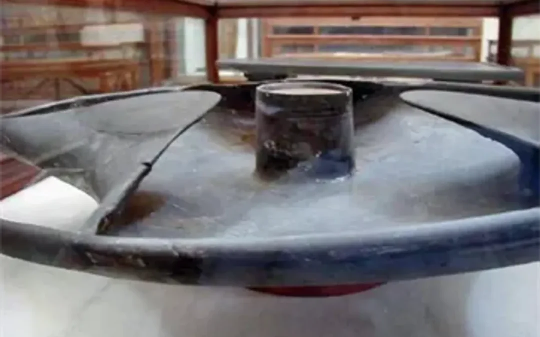 The Most Trusted Tour Operators In Egypt: What Makes Them Special