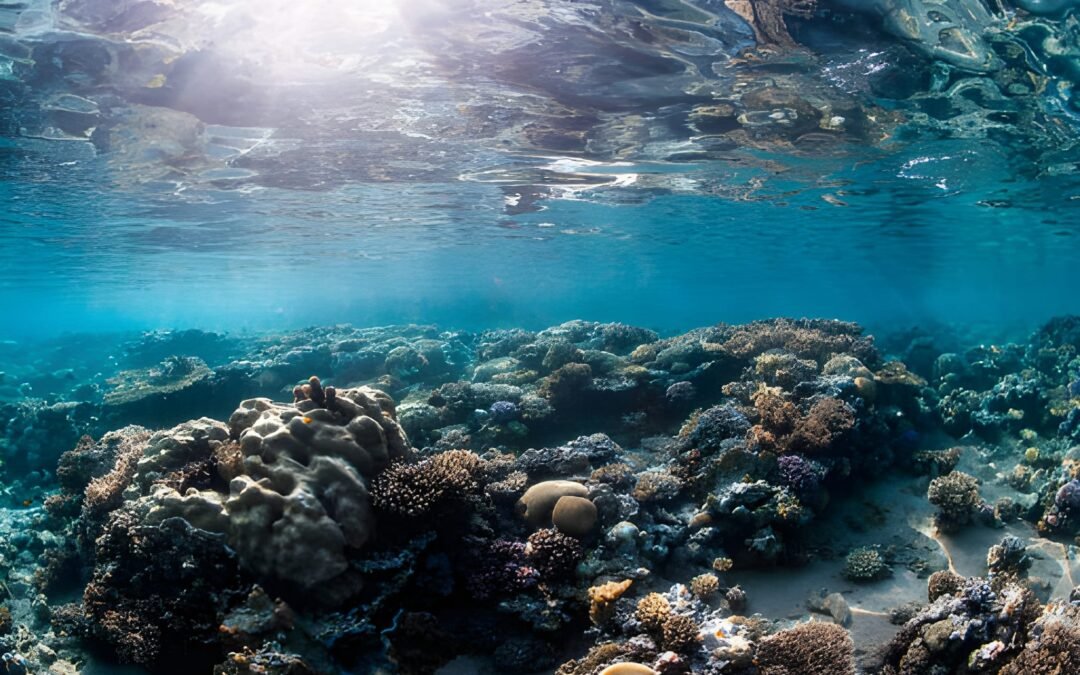 The Nubian Museum In Aswan